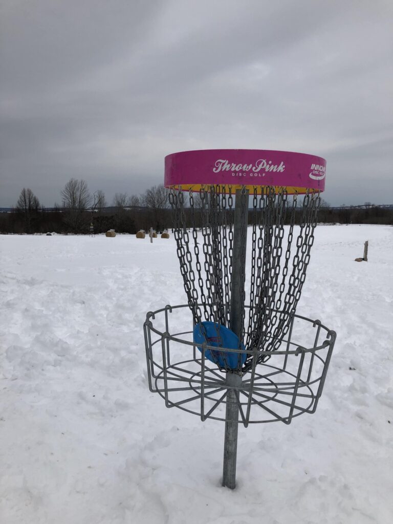 disc golf basket in snow