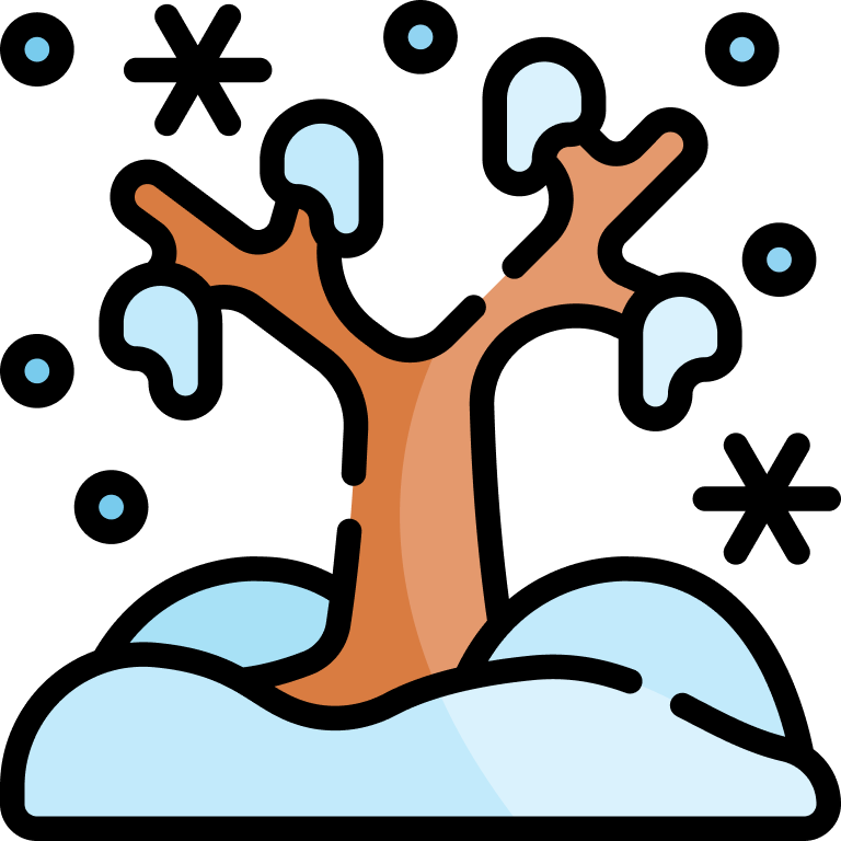Snow on trees