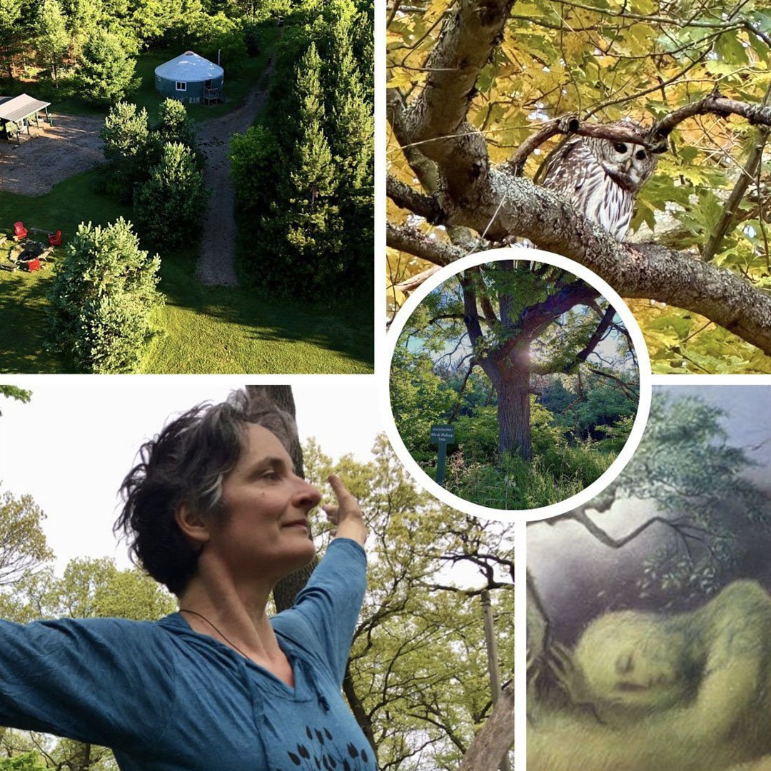Whispers of the Forest retreat.