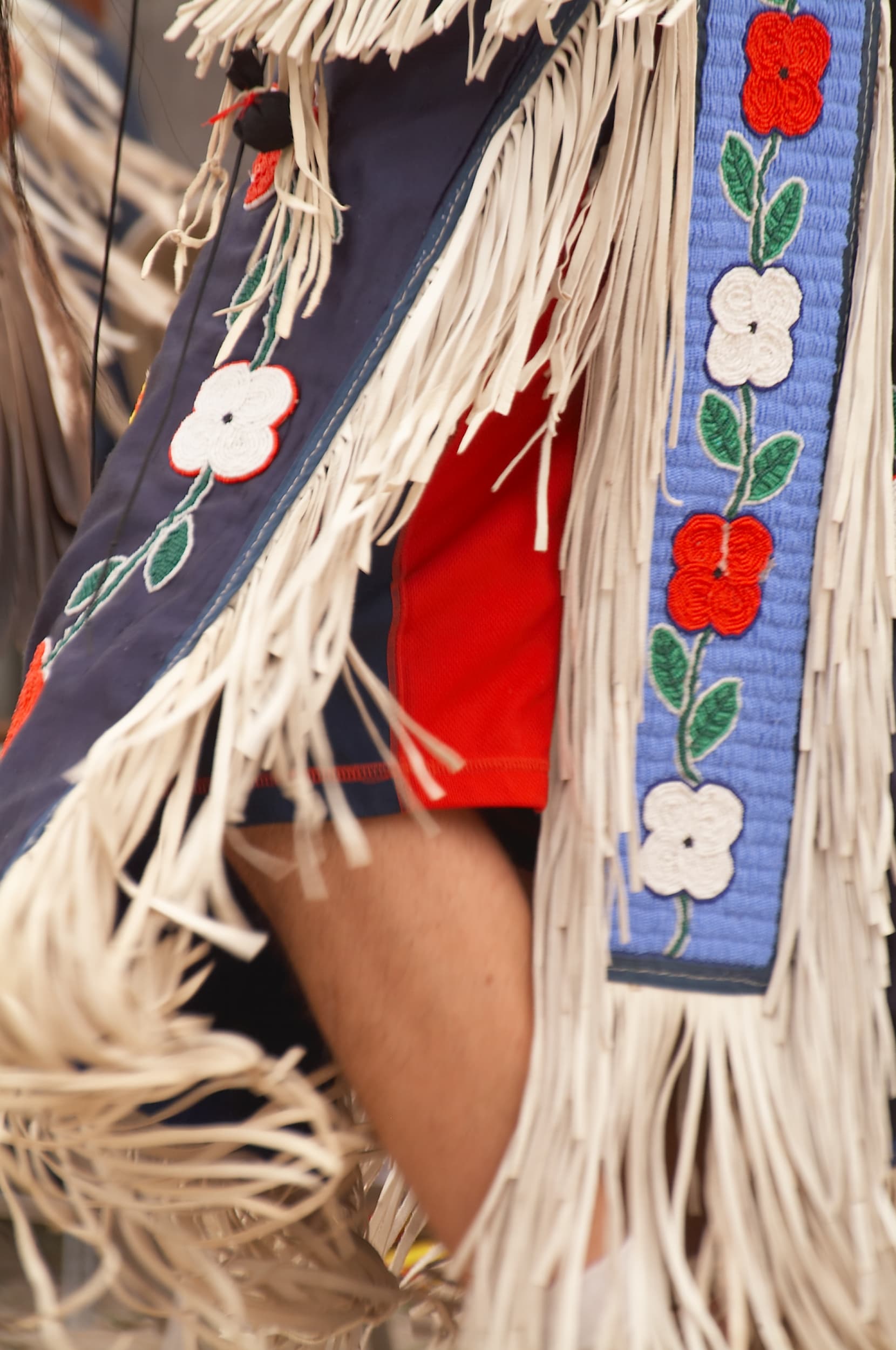 Detail of Indigenous regalia
