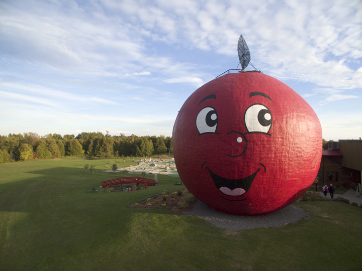 Aerial Big Apple
