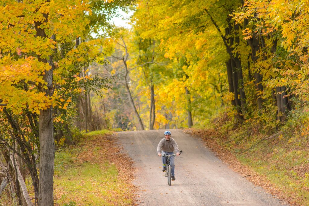 Man riding a bike on a country road surrounded by fall coloured trees