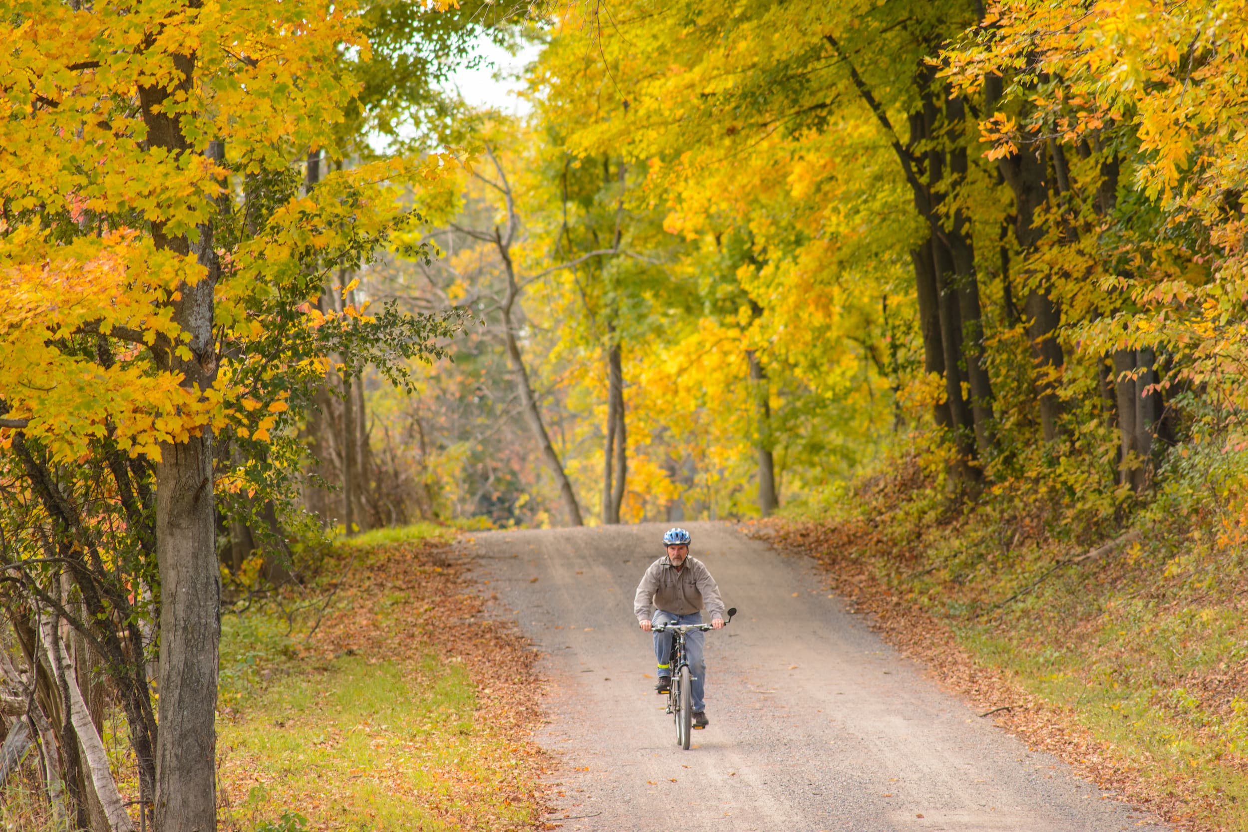 Man riding a bike on a country road surrounded by fall coloured trees