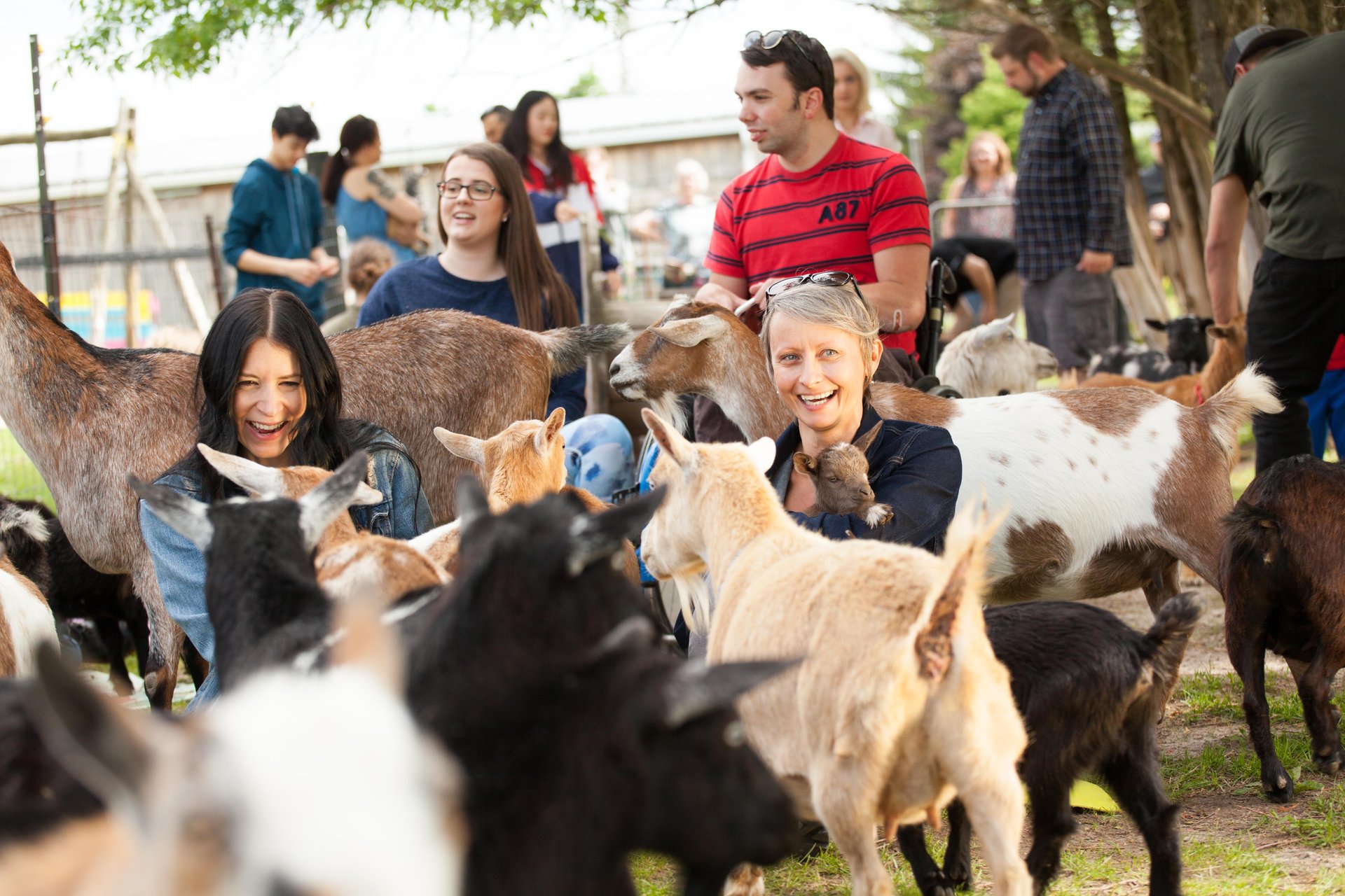 people cuddling goats