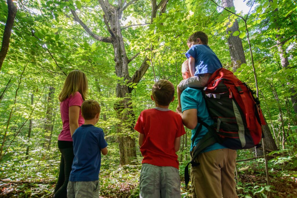 Family looking at trees in a forest