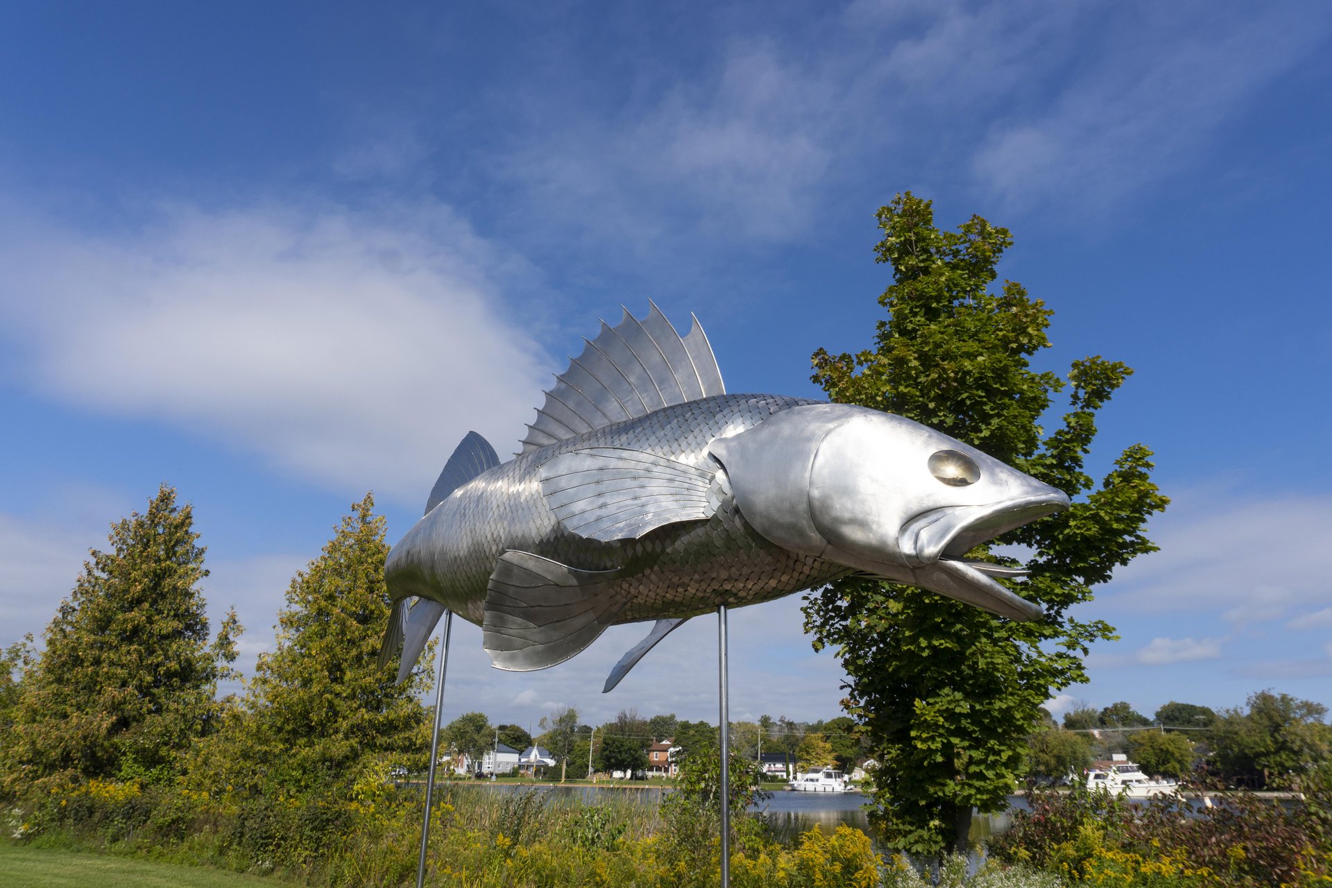 Pisces Pete, a stainless steel sculpture of a fish in an outdoor park