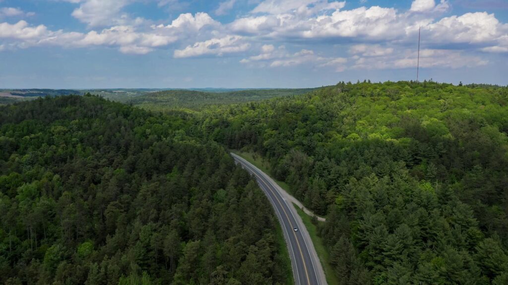 Drone view of highway through forested areas