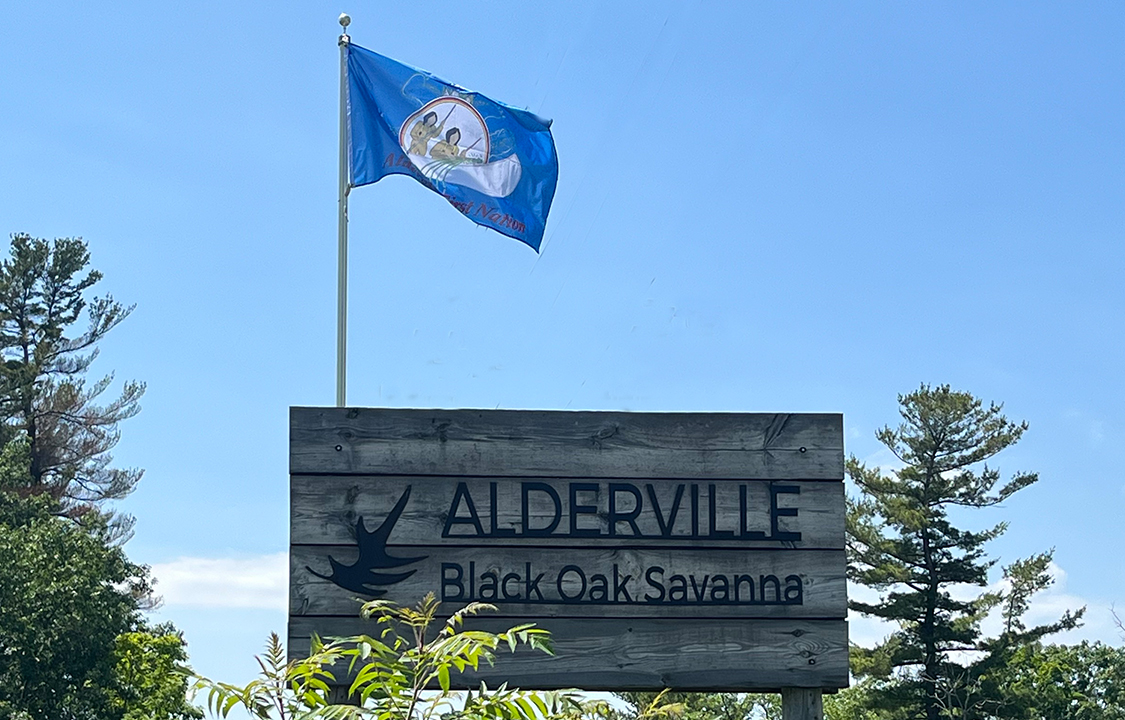 Alderville-Black-Oak-Savanna-1125×720-02