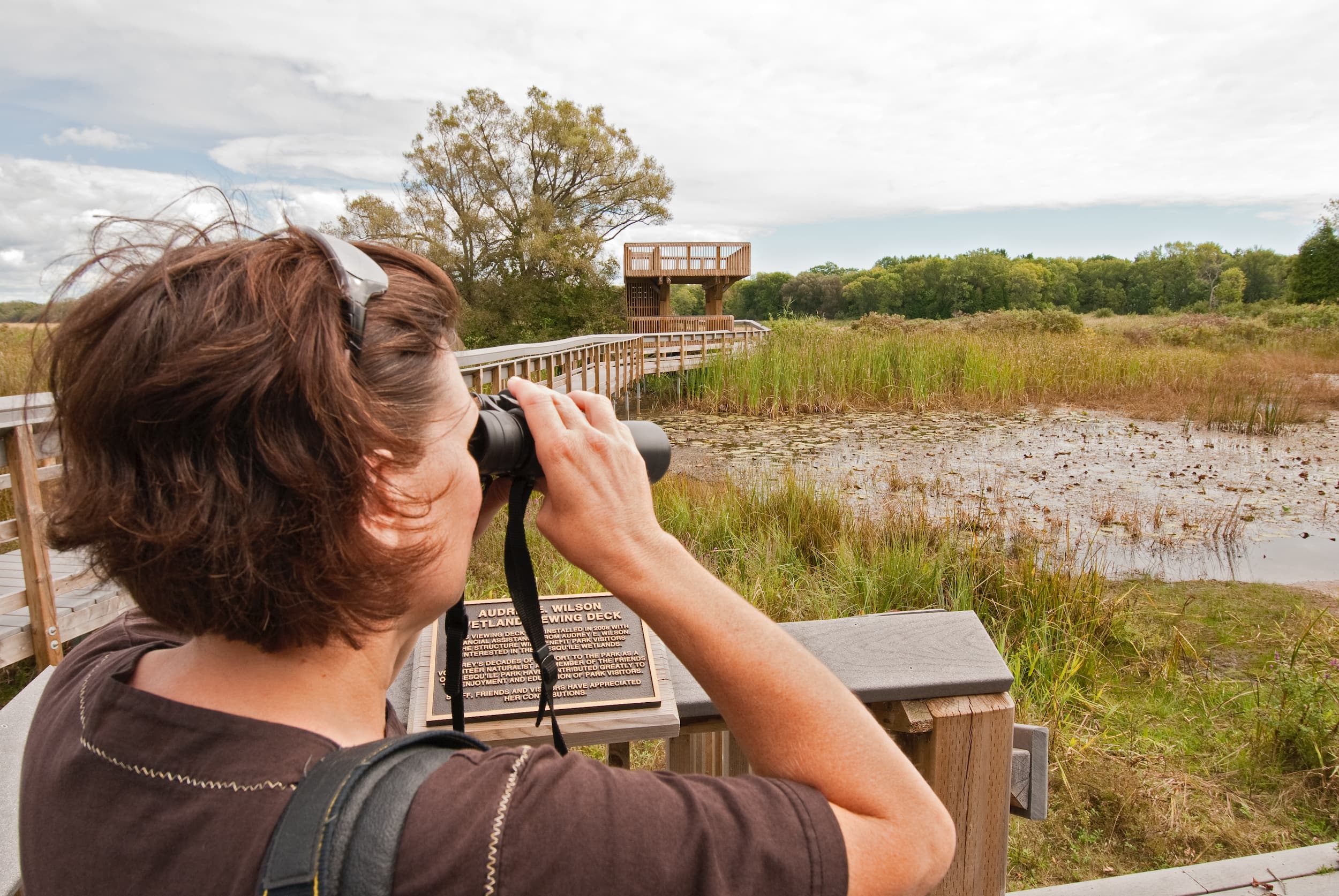 Woman looking through binoculars over a marsh