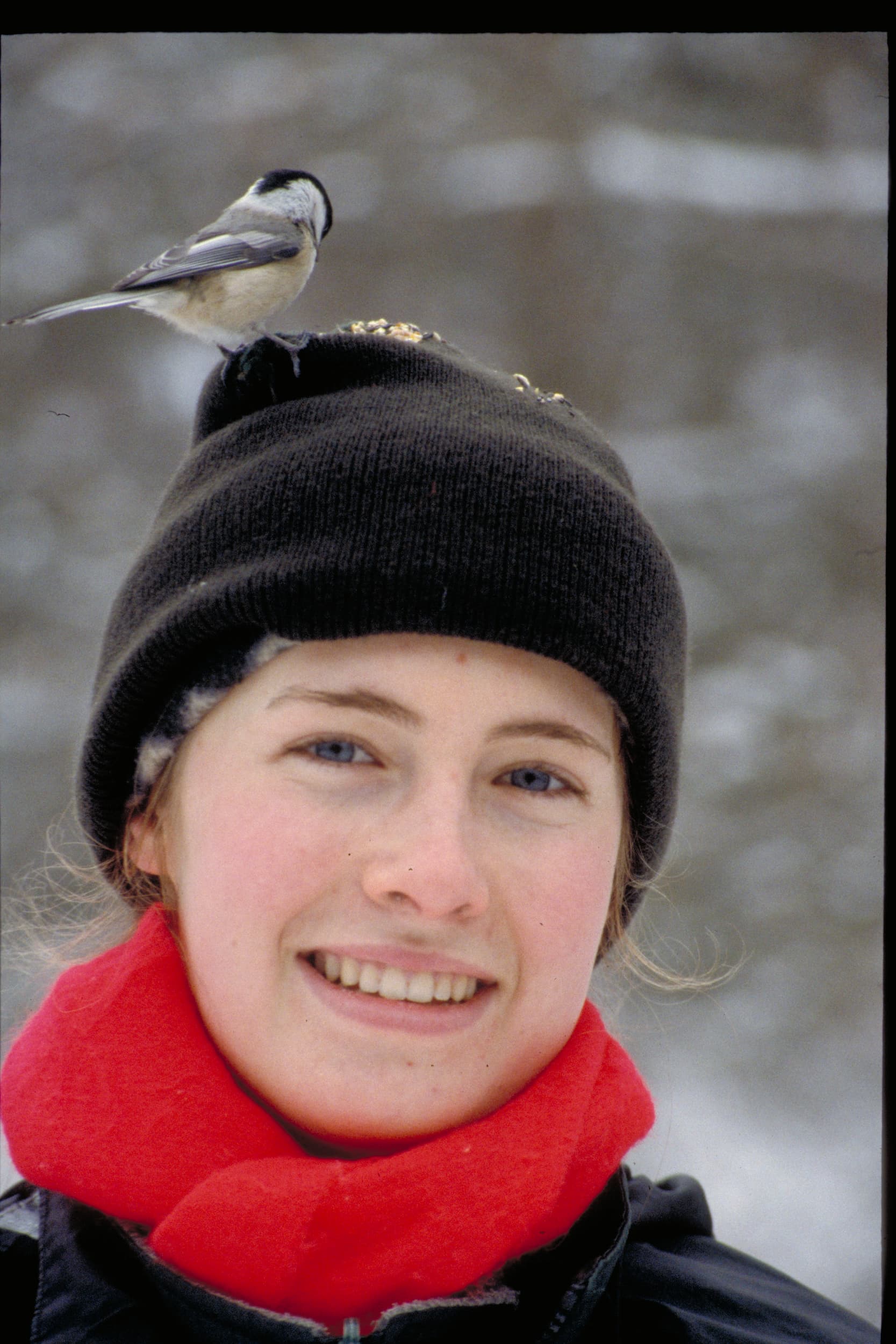 Woman with a red scarf wears a black toque and a chickadee is sitting on top of her head.