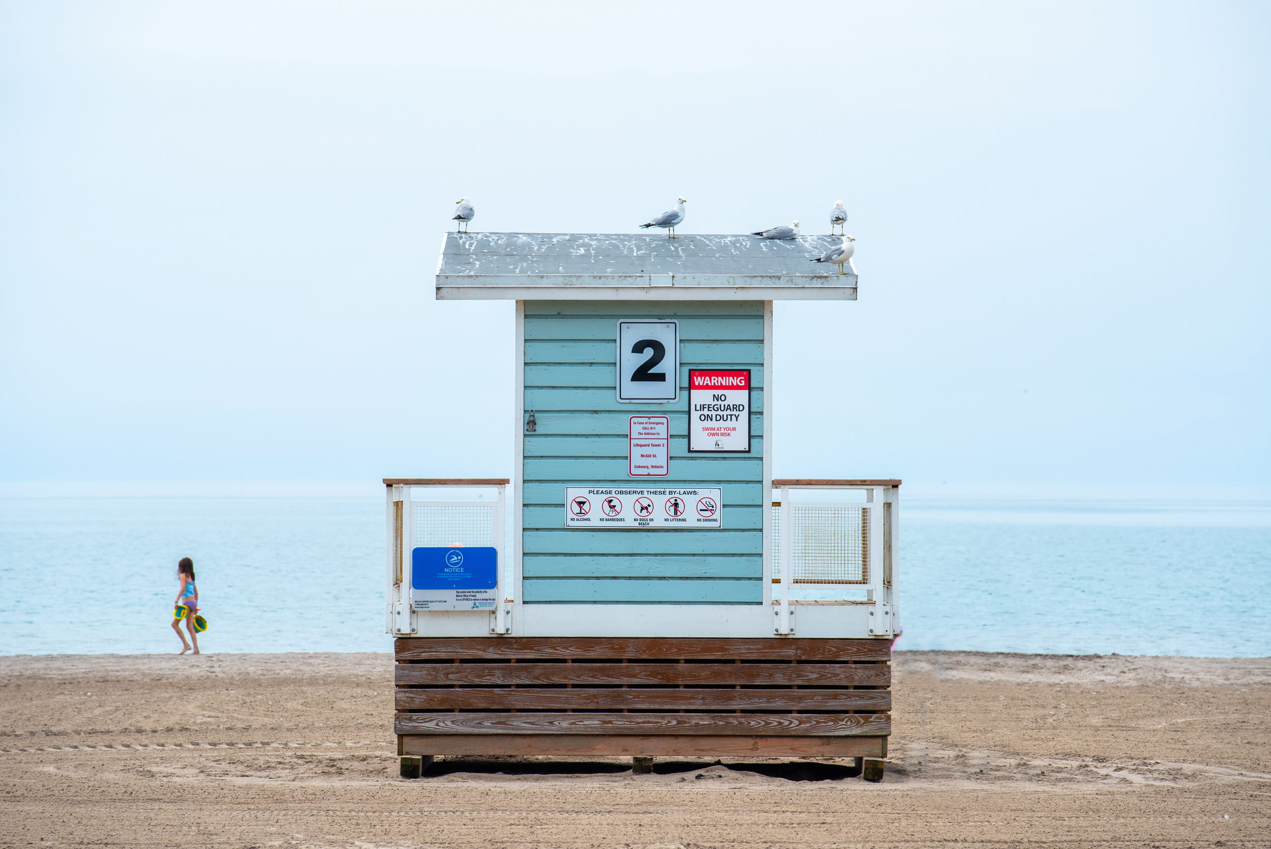 Lifeguard station on Cobourg Beach with sea gulls on the roof top.