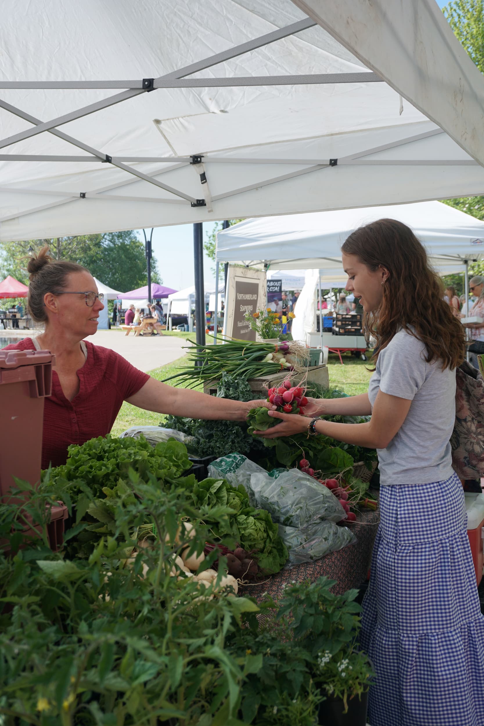 Young woman making a purchase from a farm vendor at a local farmers' market