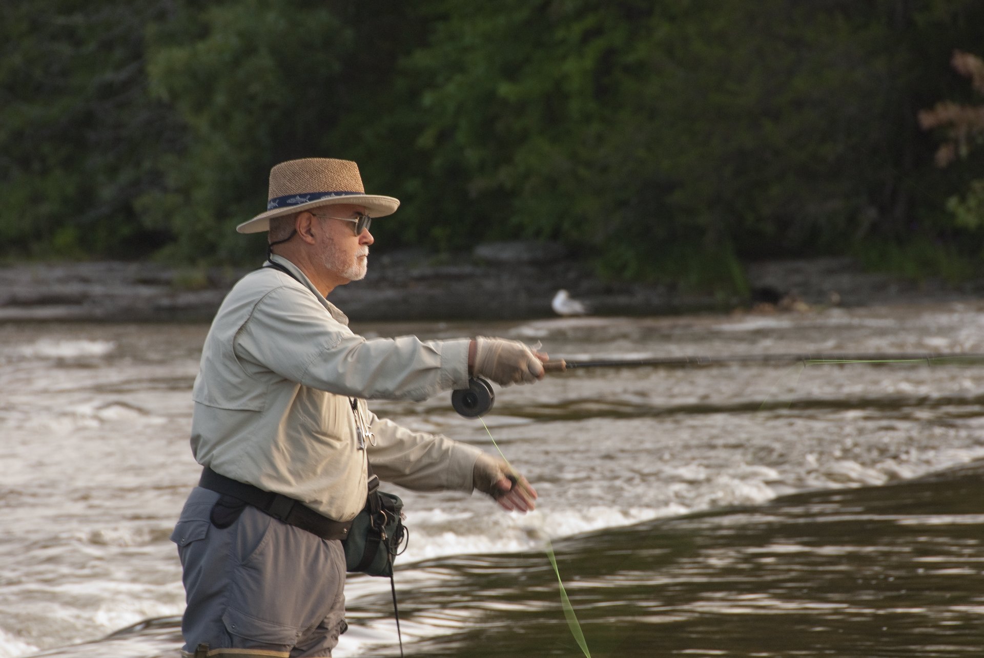 Man fly fishing