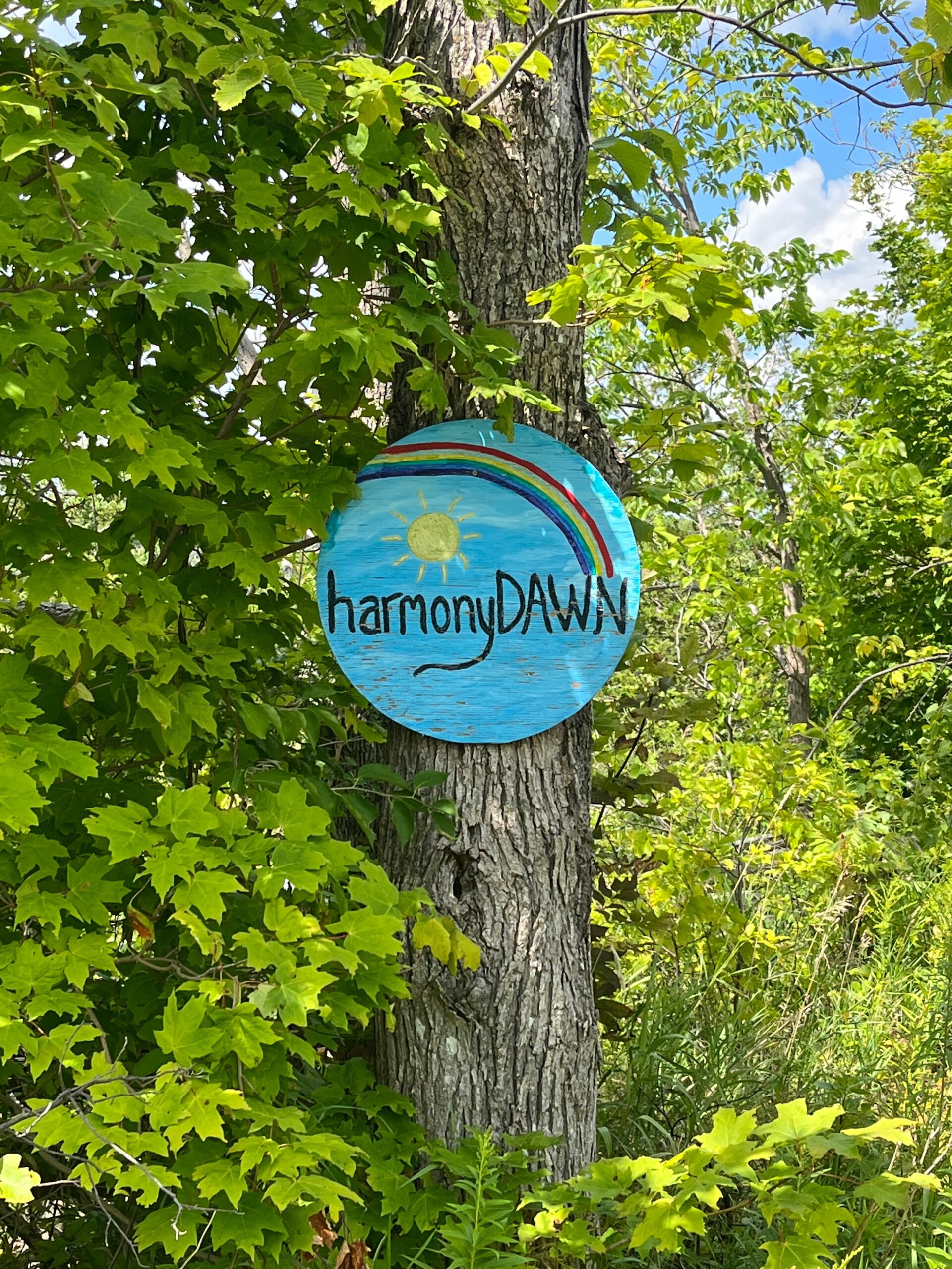 Harmony-Dawn-STU-8212
