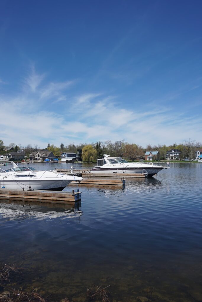Boats parked at slips at Hastings Marina.