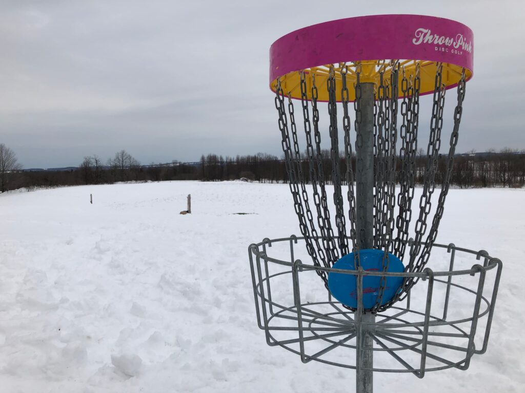 disc golf basket with a blue disc inside