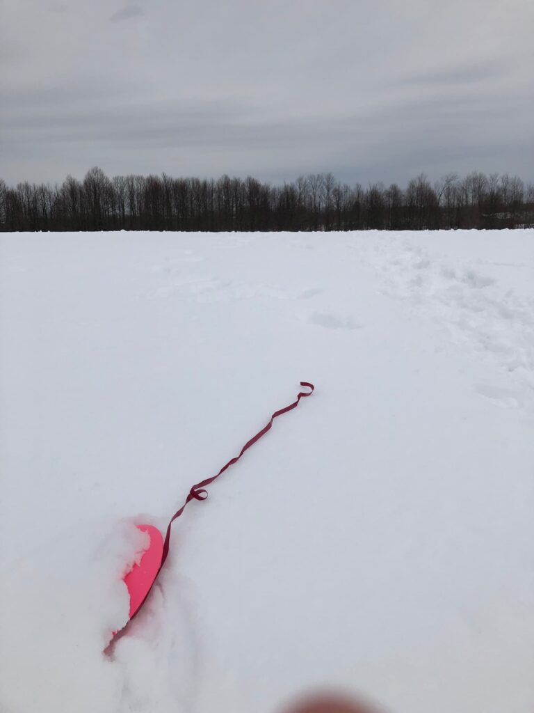 pink disc with a ribbon on it half buried in the snow at a disc golf course