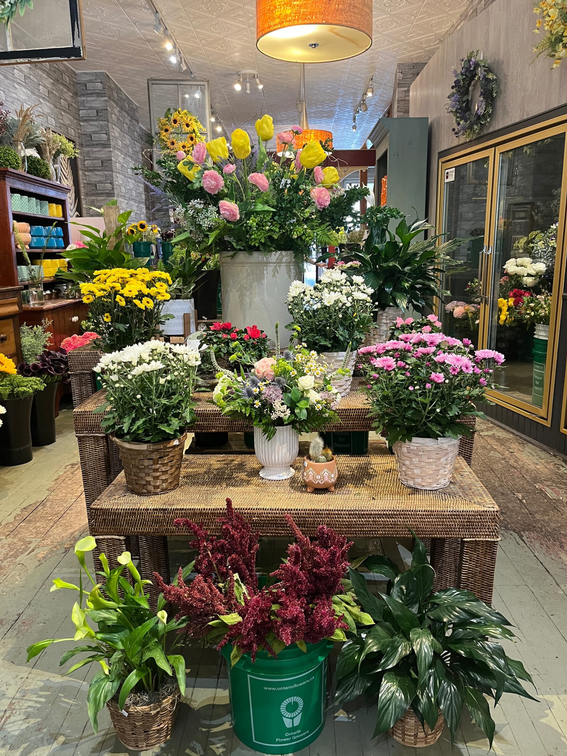 Holton-Flowers-STU-6844