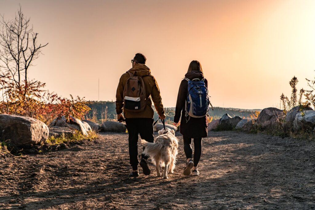 Two people and a dog walking away from the camera to look at a view at Lookout Mountain in the fall