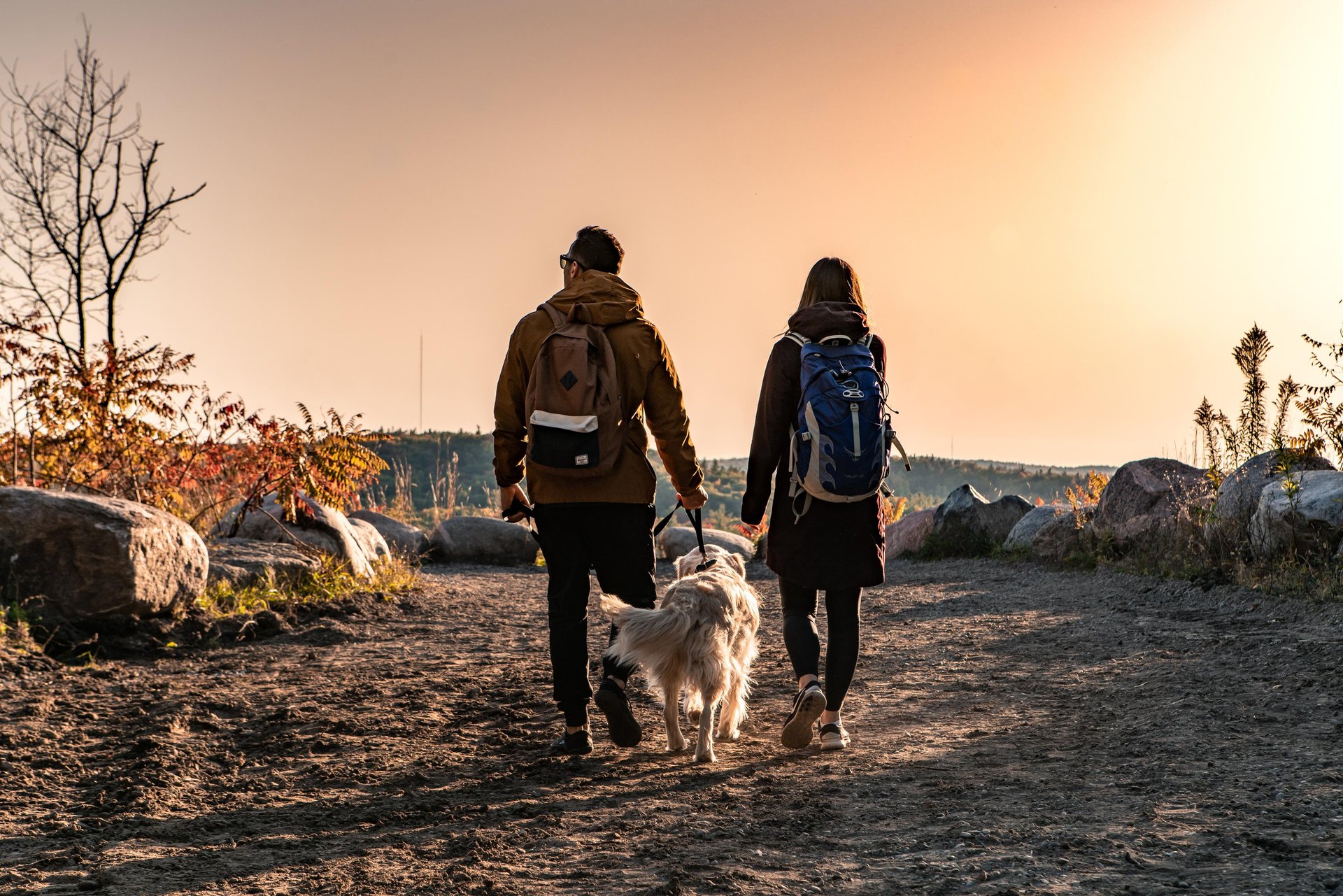 Two people and a dog walking away from the camera to look at a view at Lookout Mountain in the fall