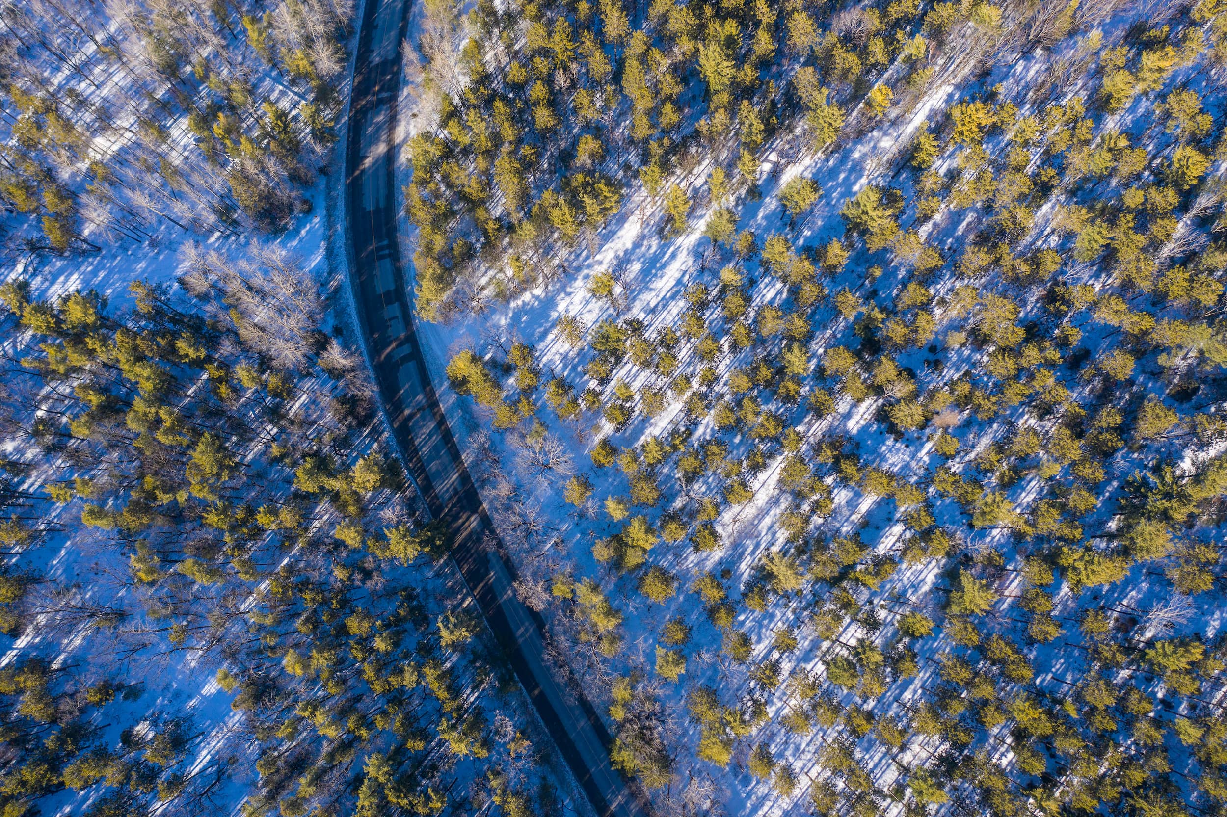 Drone view of Northumberland Forest with highway cutting through.