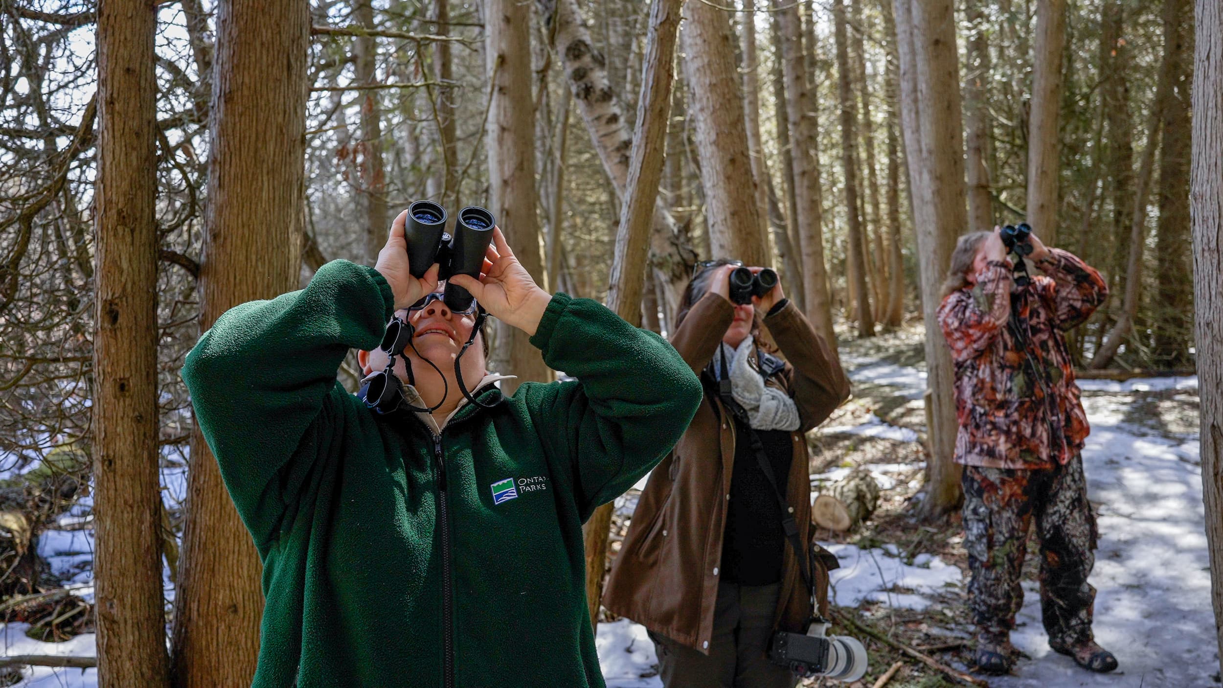 Three people looking up at the trees with binoculars in a winter forest.