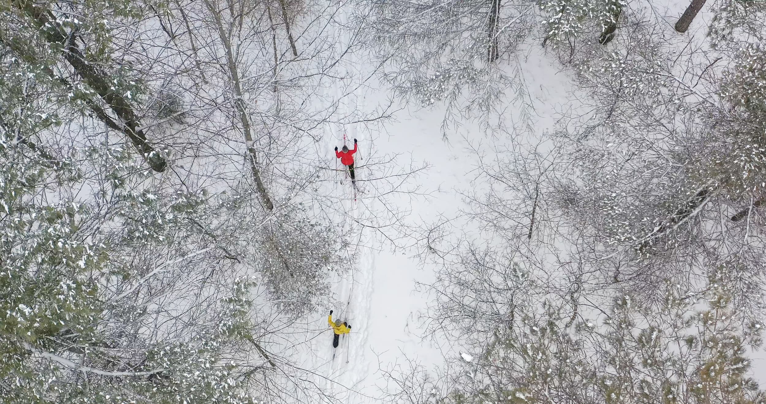 Drone view of two people cross-country skiing through a forested area.