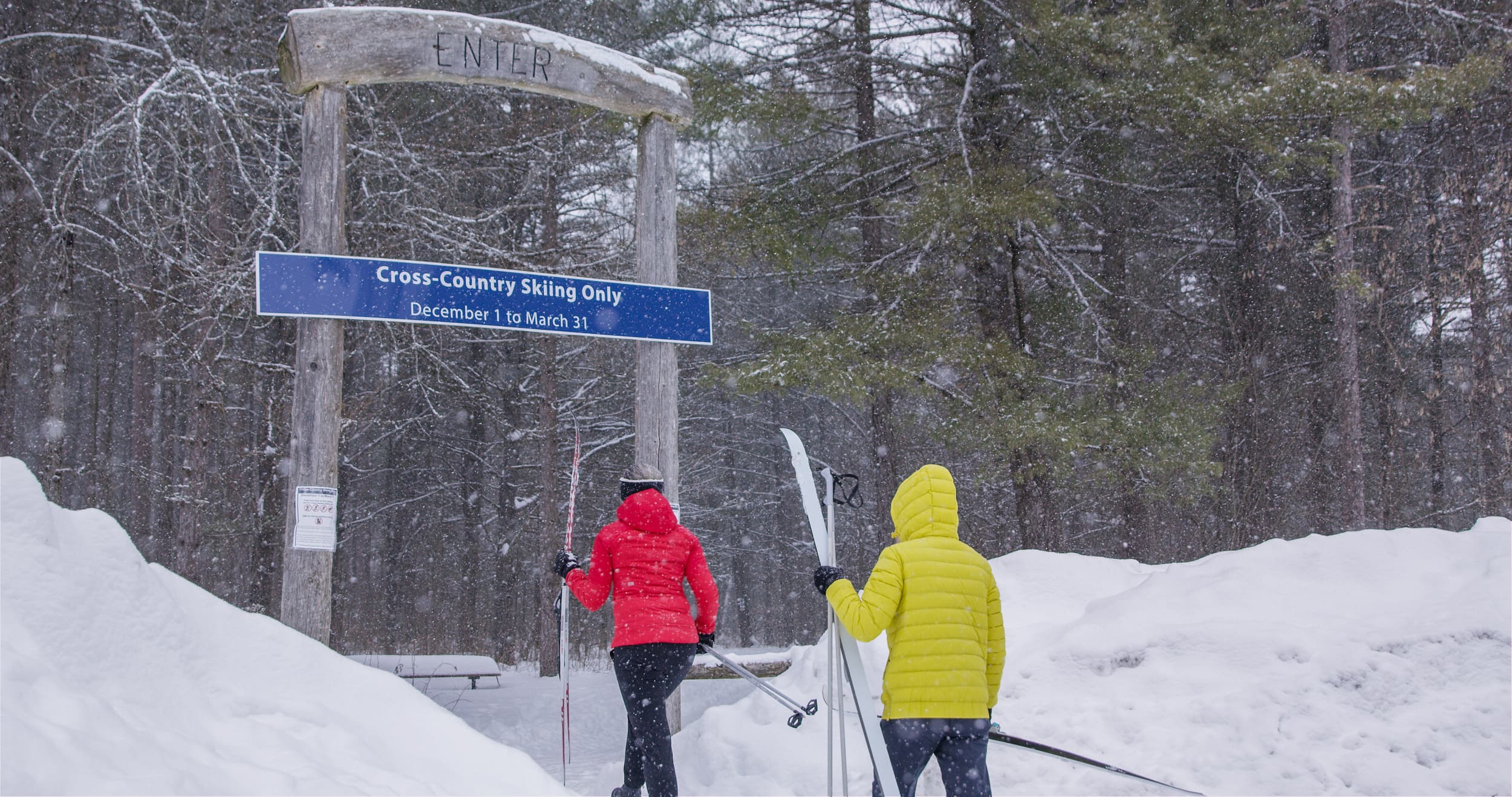 Two people entering a groomed cross-country skiing trail at Northumberland County Forest.