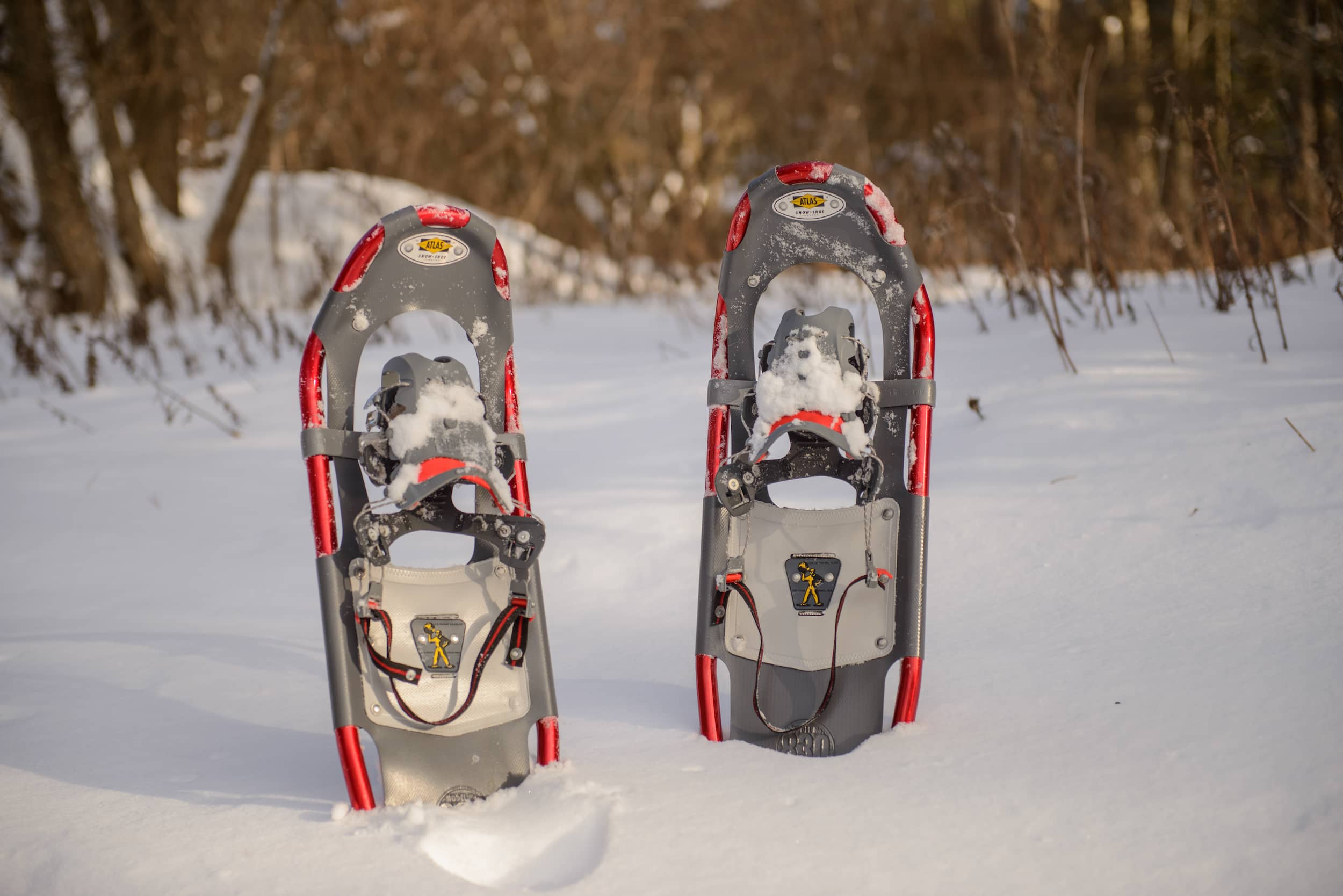 Snowshoes standing up in a snowy forest.