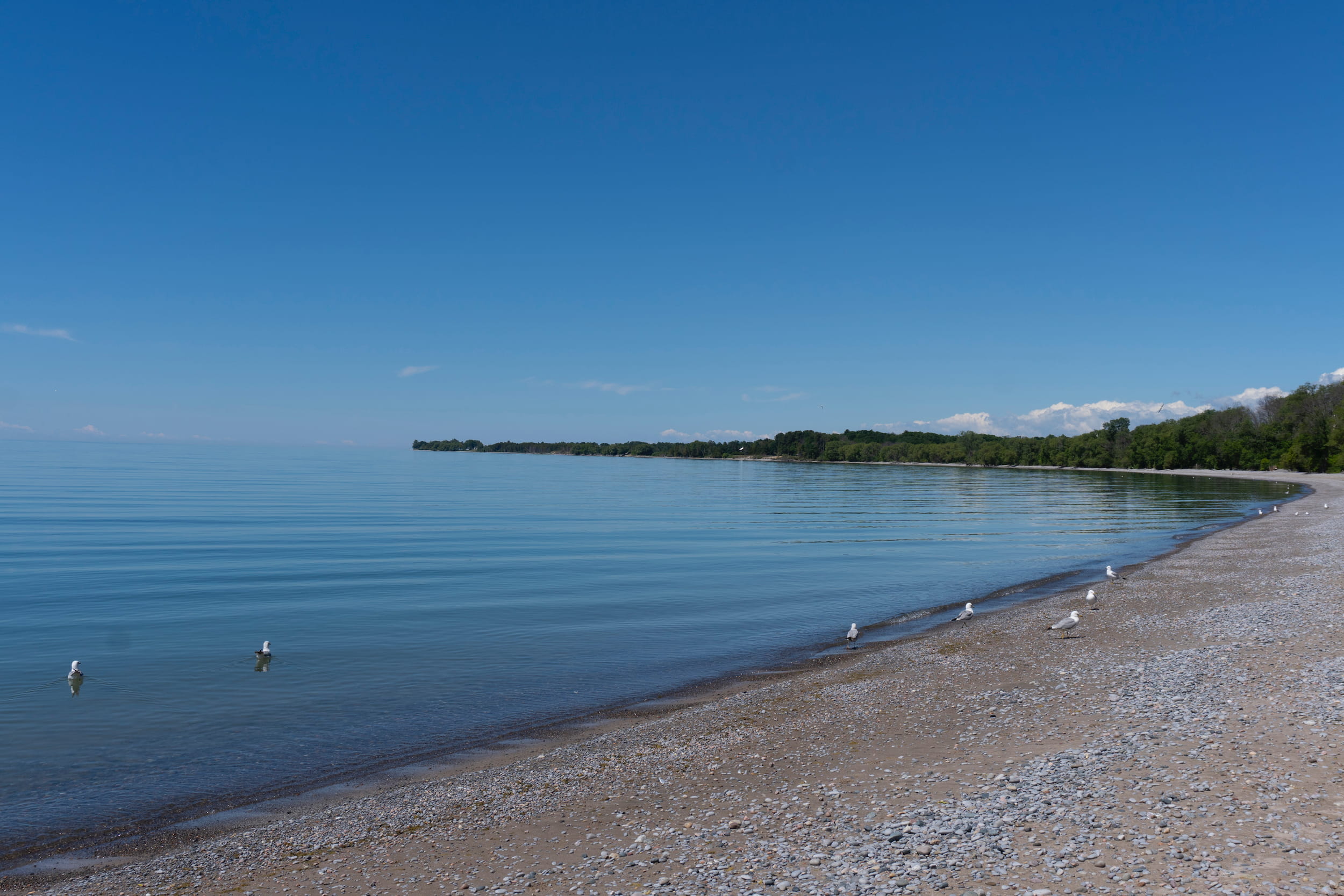 Wicklow Beach in Lakeport, Alnwick Haldimand Township.