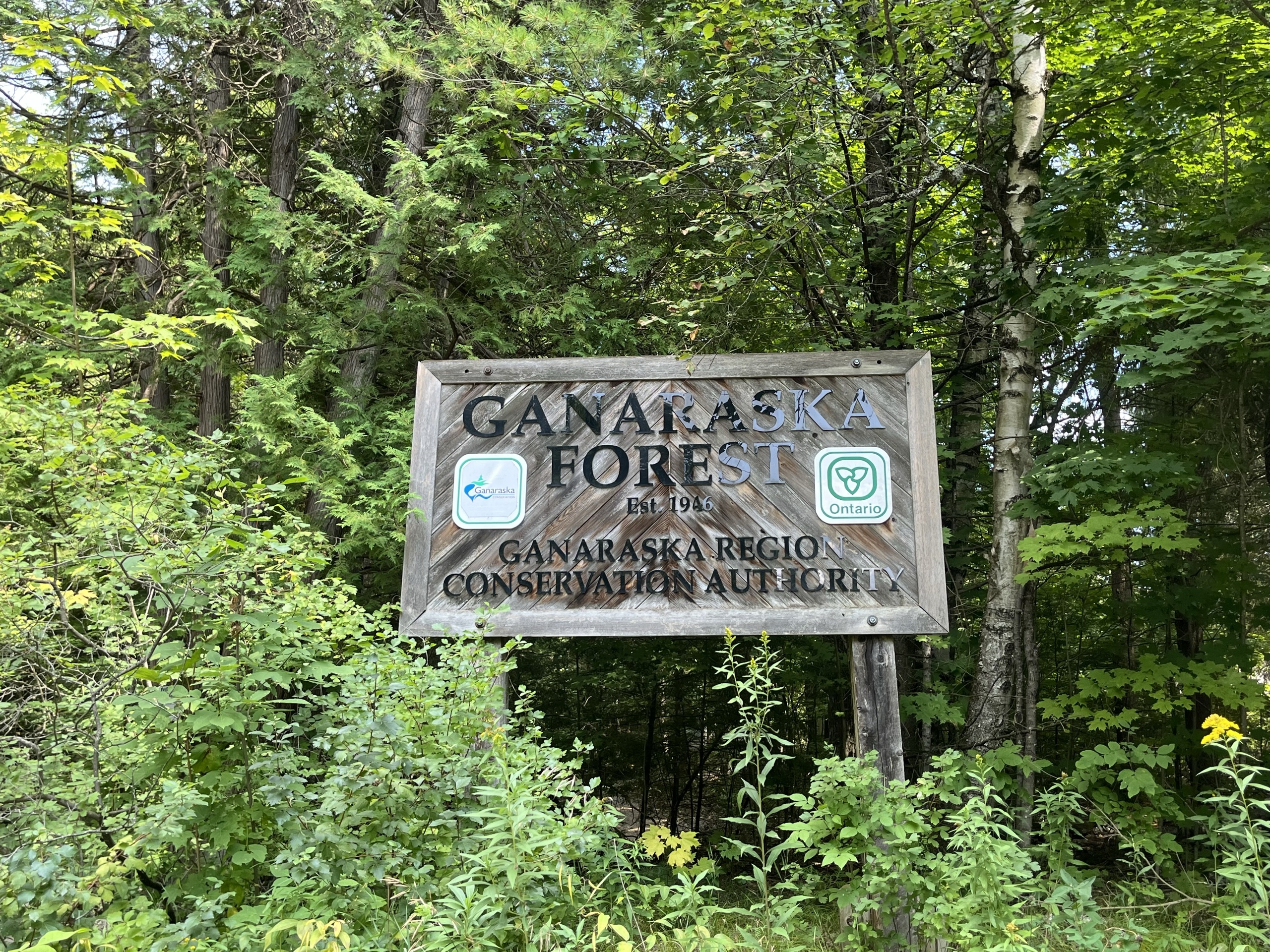 Photo of the Ganaraska Forest centre sign. Sign reads "Ganaraska Forest, establised 1946. Ganaraska region conservation authority."