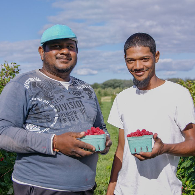 2 men smiling holding quarts of raspberries.