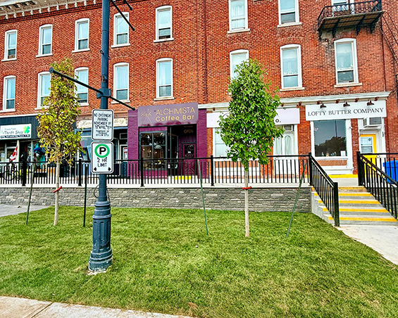 exterior of Alchimista Coffee Bar and other small businesses