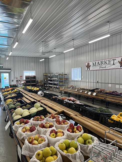 Baskets of apples and crates of other fruits and vegetables.