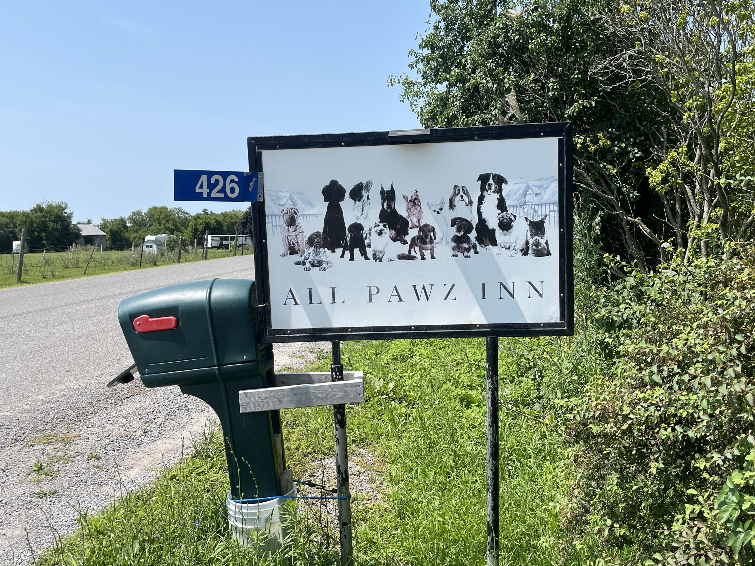 Photo of All Pawz Inn sign. Sign reads "All Pawz Inn."