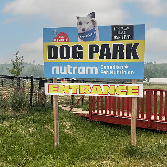 Blue and yellow entrance sign with a white dog and black writing.