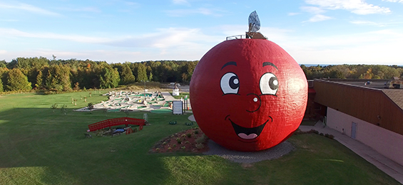 The Big Apple logo