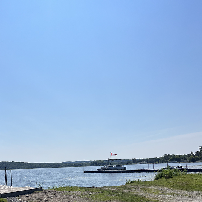 Lake shore overlooking Rice Lake