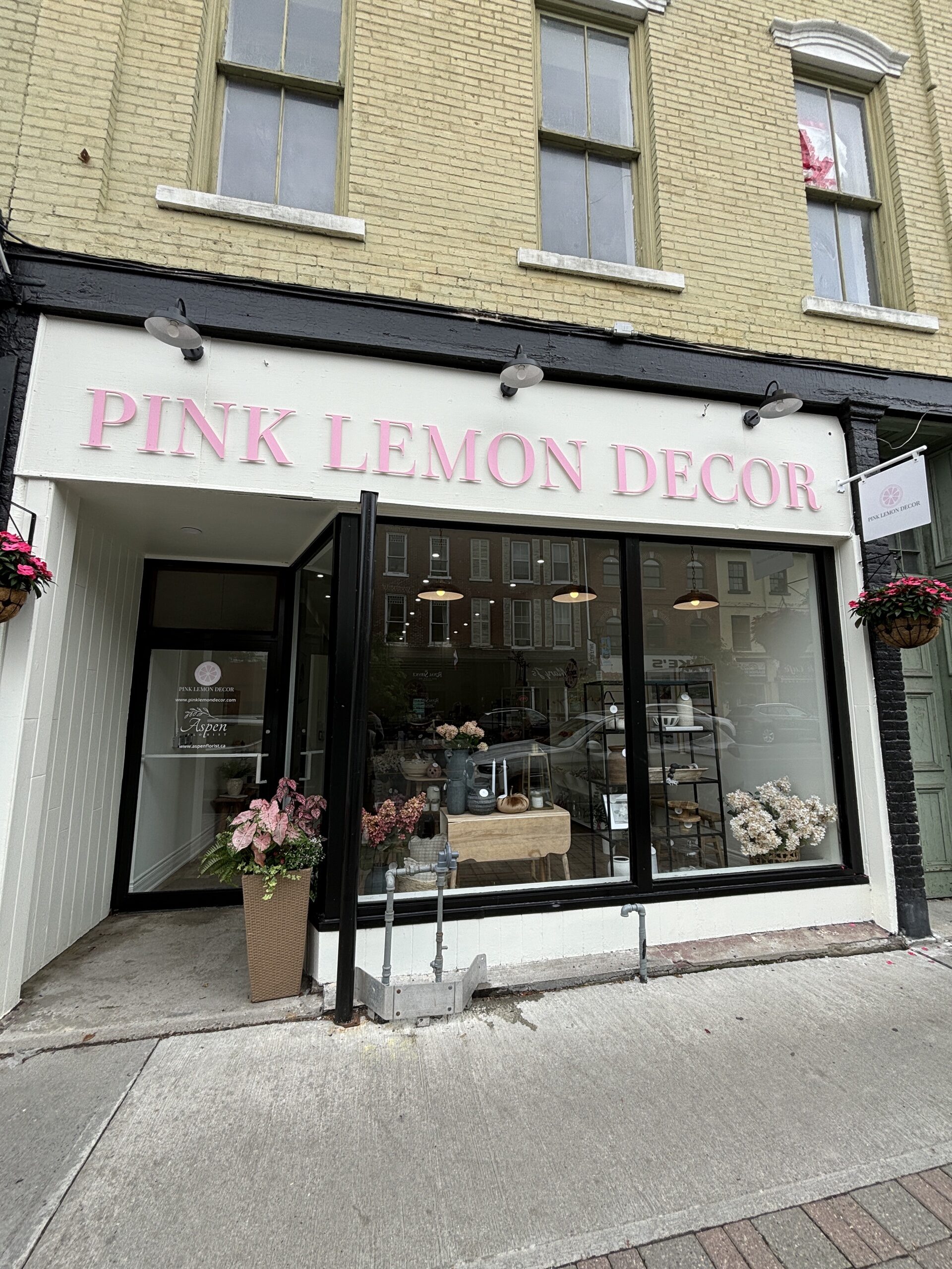 Photo of Pink Lemon Decor store front. Sign above the door and window entrance reads "Pink Lemon Decor."