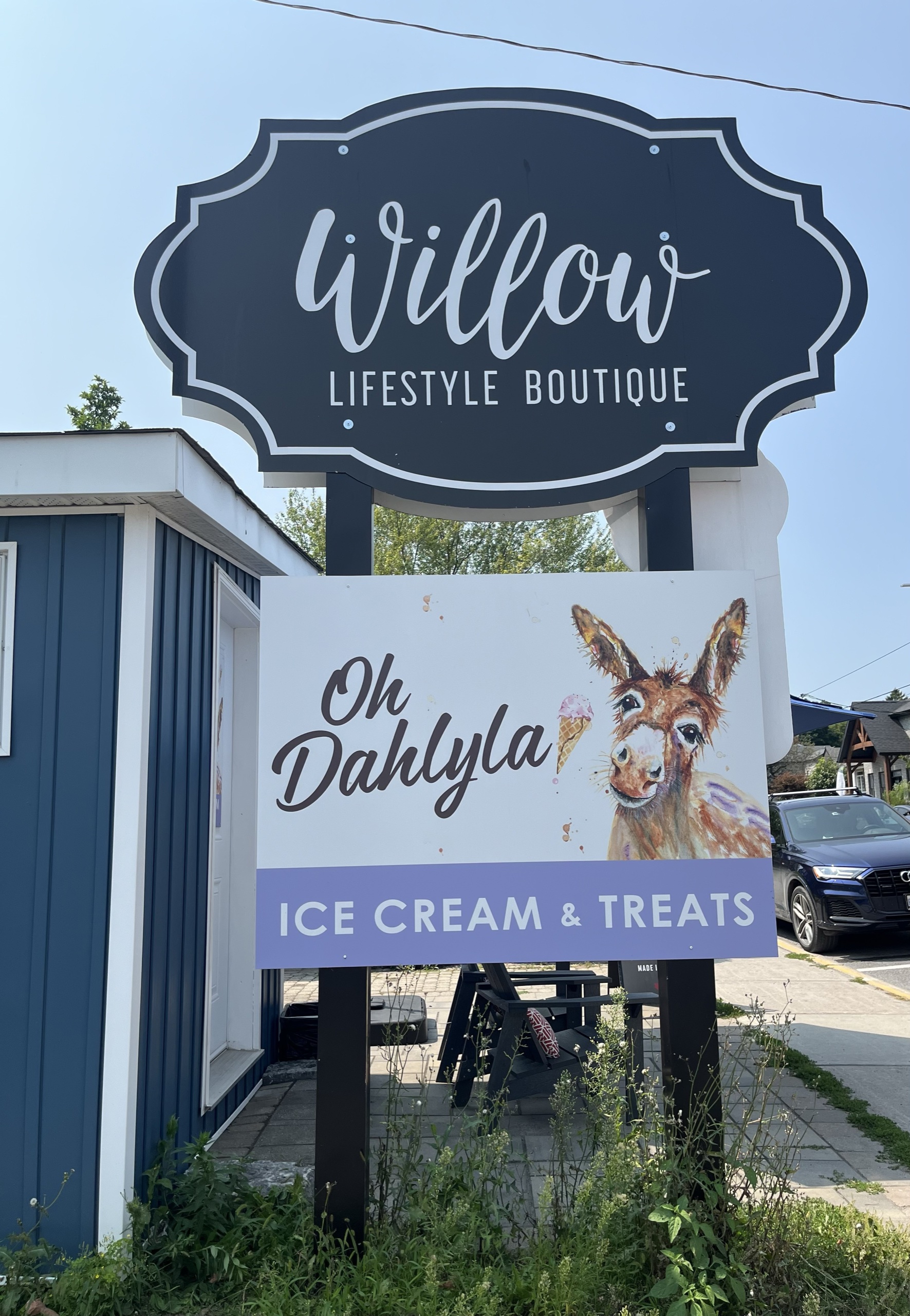 Photo of Oh Dahlyla sign. Sign reads "Willow lifestyle boutique. Oh Dahlyla. Ice cream & treats."
