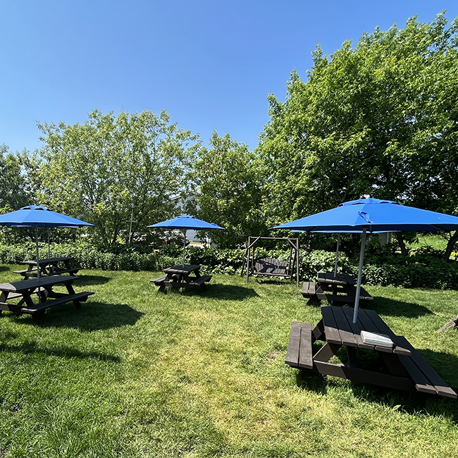 Picnic tables with large umbrellas in grass area.