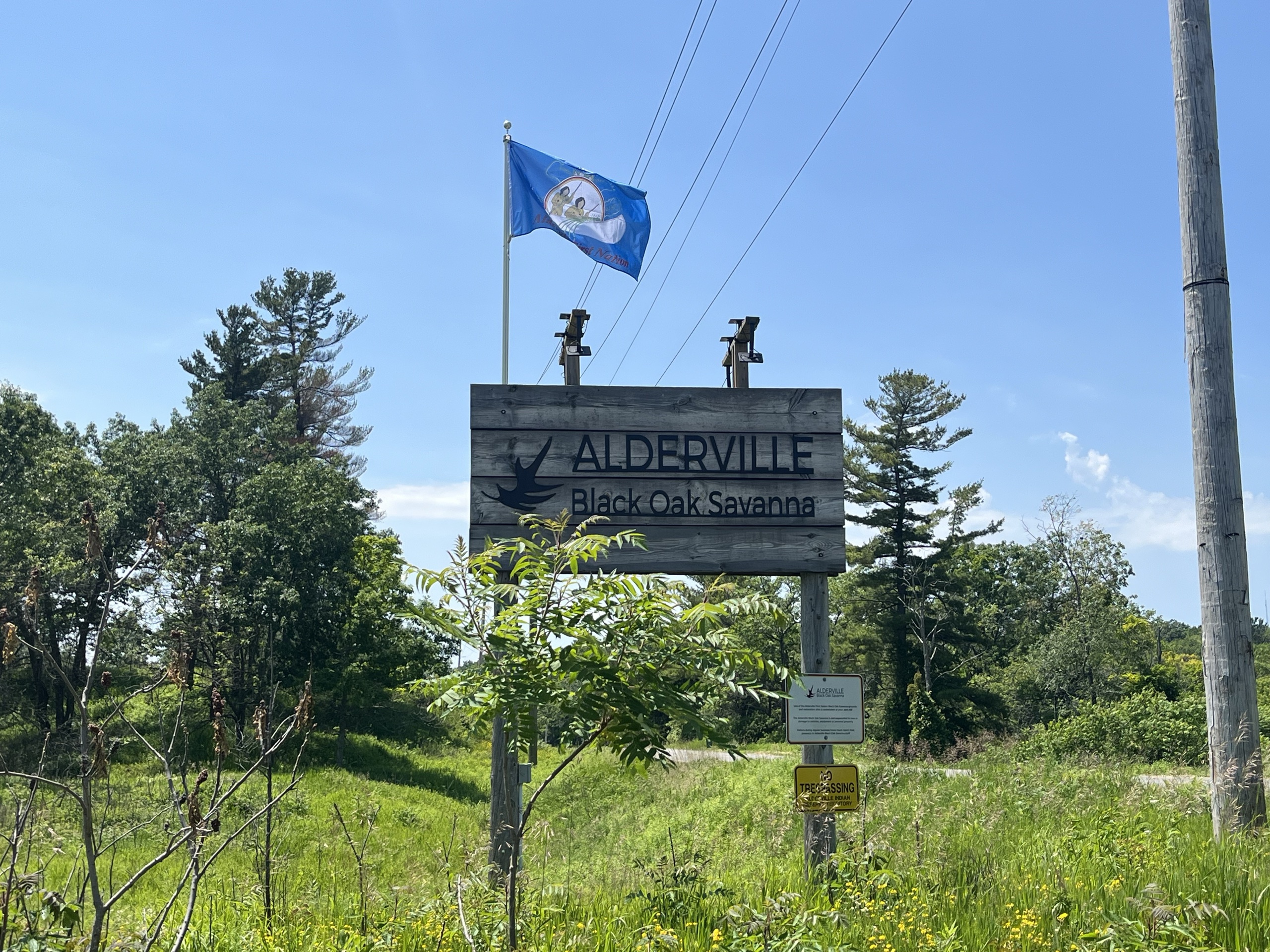 Photo of Alderville Black Oak Savanna sign. Sign reads "Alderville Black Oak Savanna."