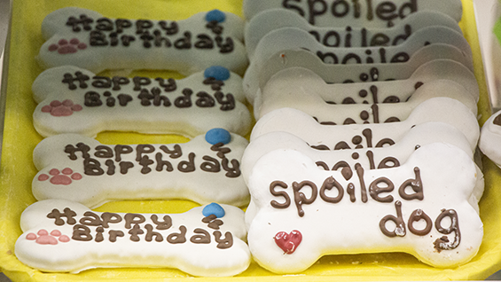 2 types of dog cookies displayed on a yellow tray