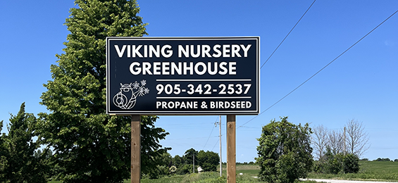 Tall black sign with white writing and outline of viking holding flowers.