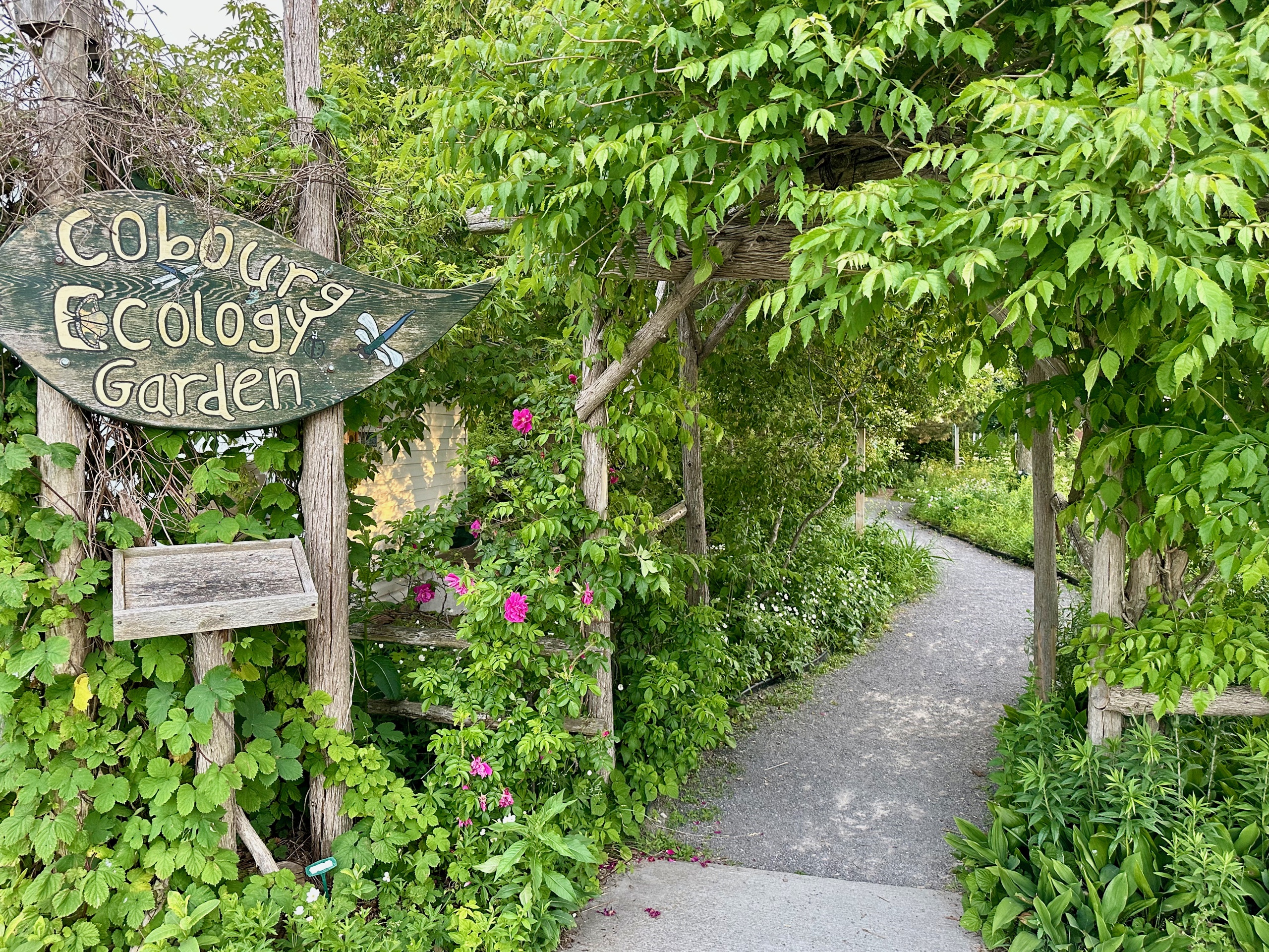 Photo of Cobourg Ecology Garden.