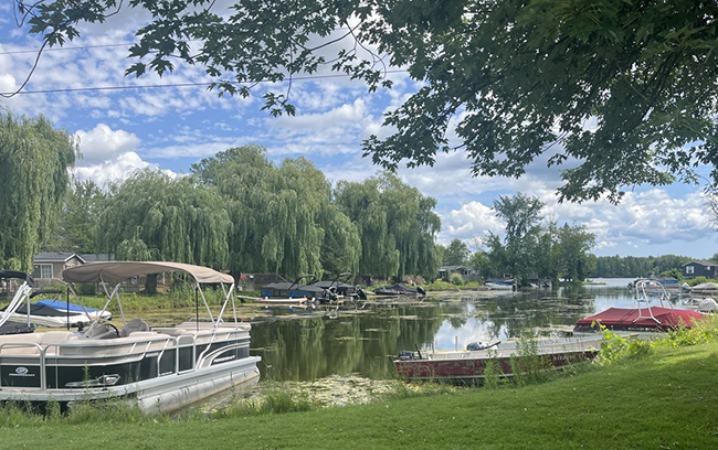 Variety of boats docked at shore in a small marina.