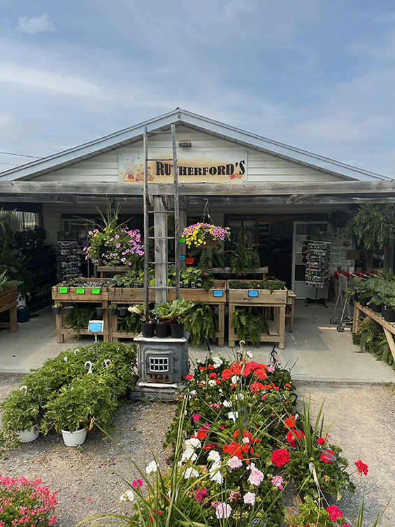 Plants and flowers in the entrance way of a farmgate market.