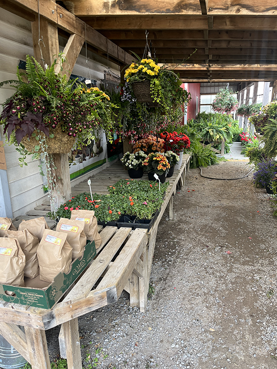Flower planters under a covered patio.