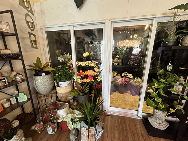 Potted plants and flowers in a corner.