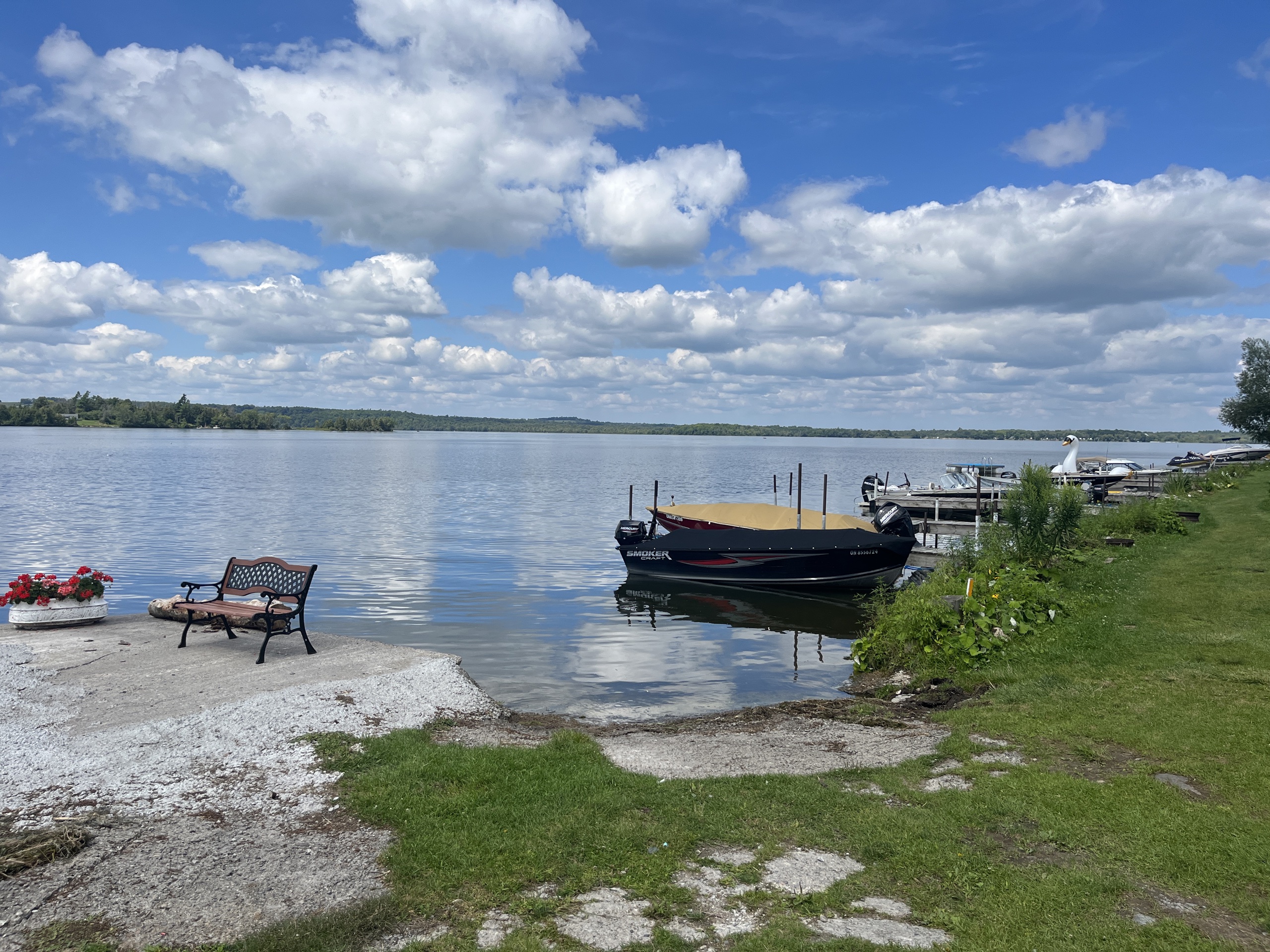 Photo of rice lake.
